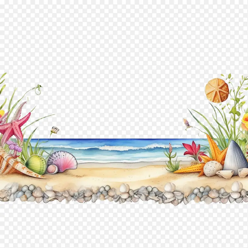 海滩边界-夏季边界