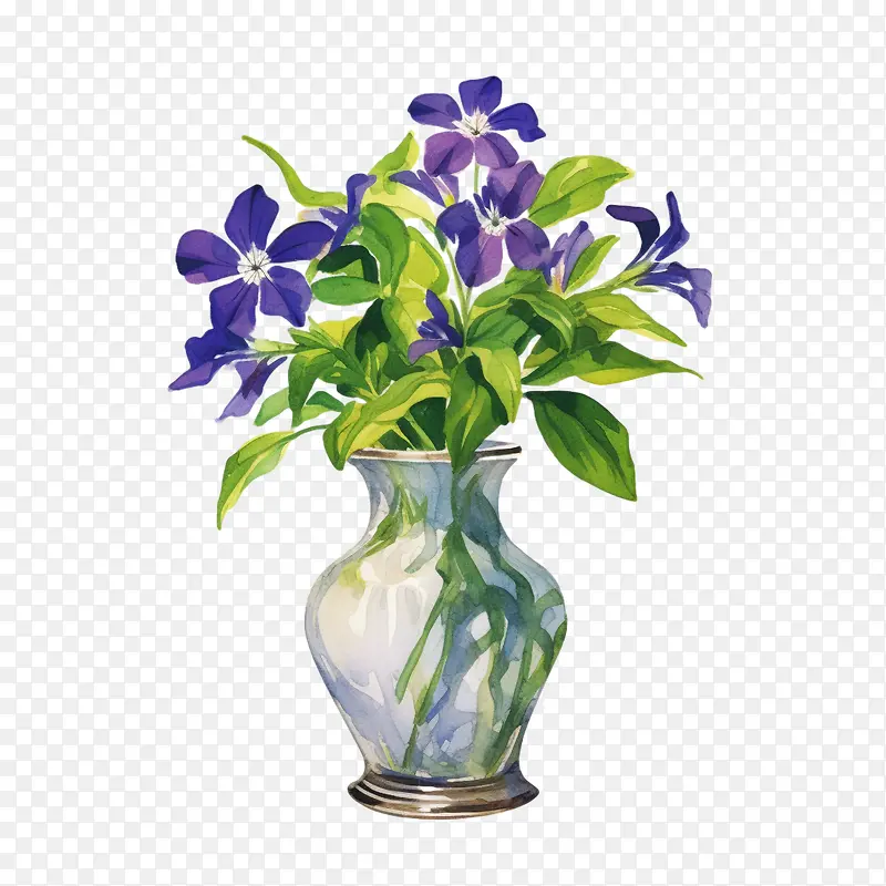 长春花-长春花蓝色花瓶花紫色
