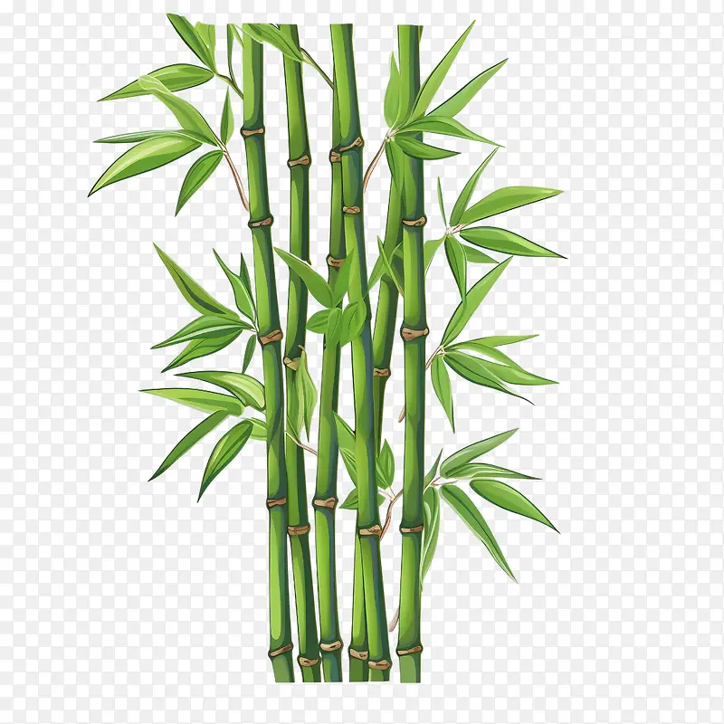 竹子-竹子竹子绿色植物天然
