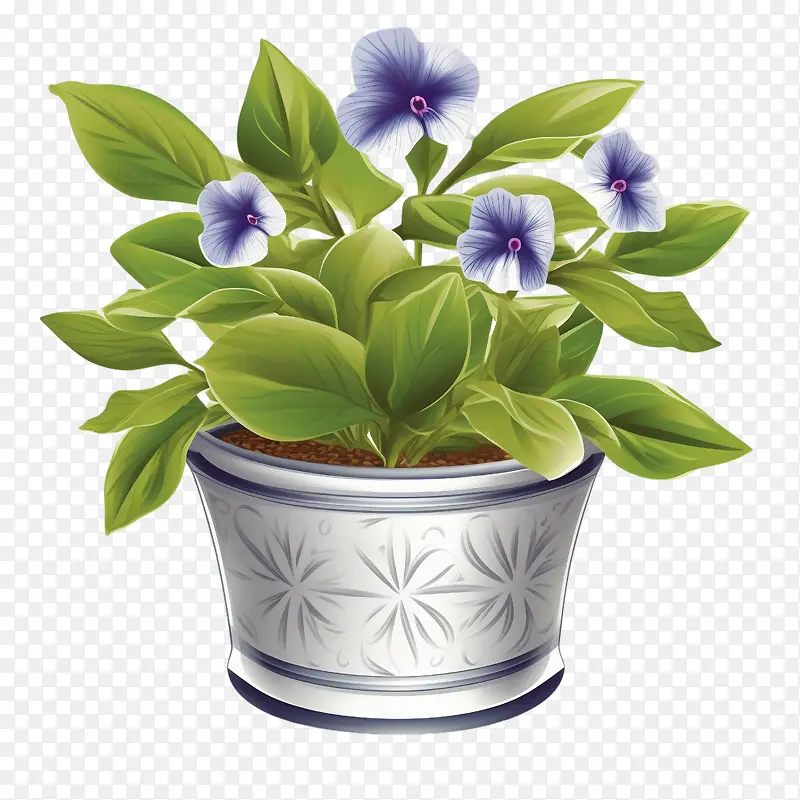 长春花-长春花花植物盆栽花朵紫色