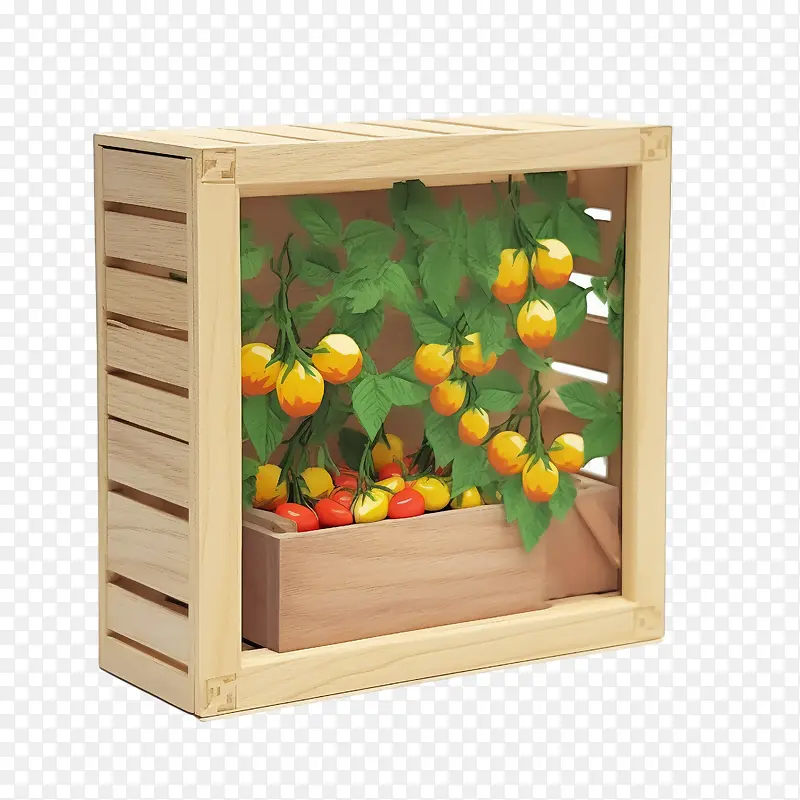 辣椒-辣椒辣椒木箱西红柿花园