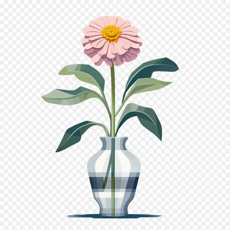 百日草花-粉红色的花