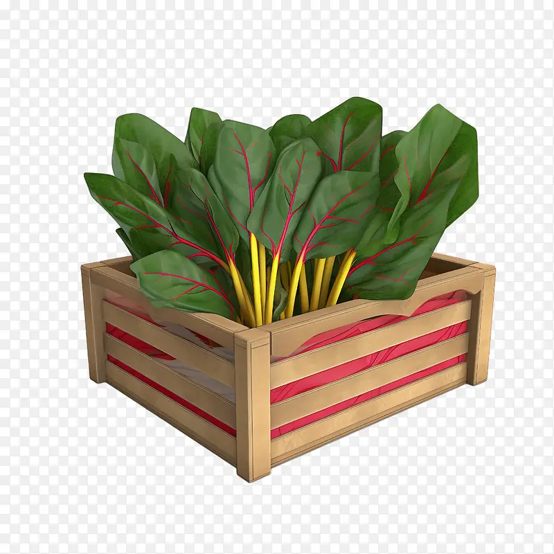 瑞士甜菜-健康食品
