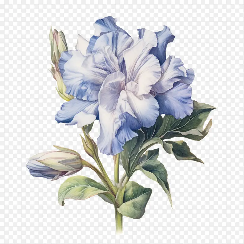 花表情符号-花表情符号