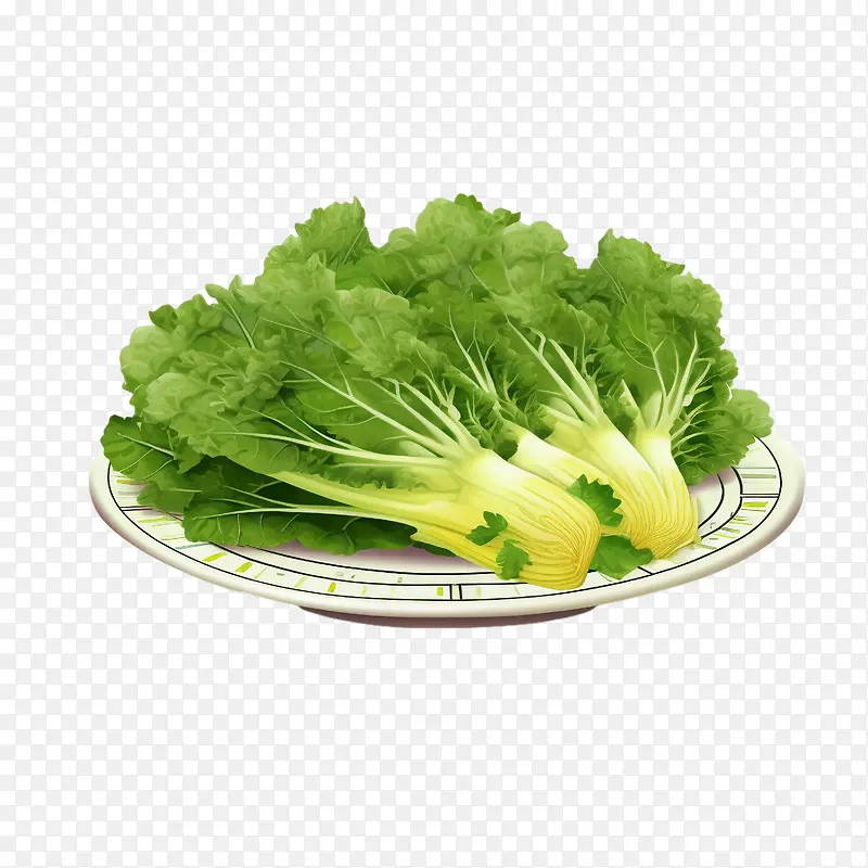 大白菜——健康食品