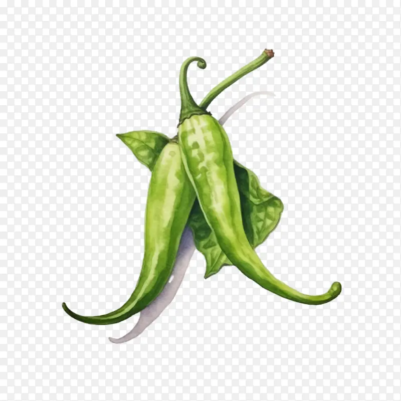 青辣椒-青辣椒辣椒青辣椒蔬菜食品