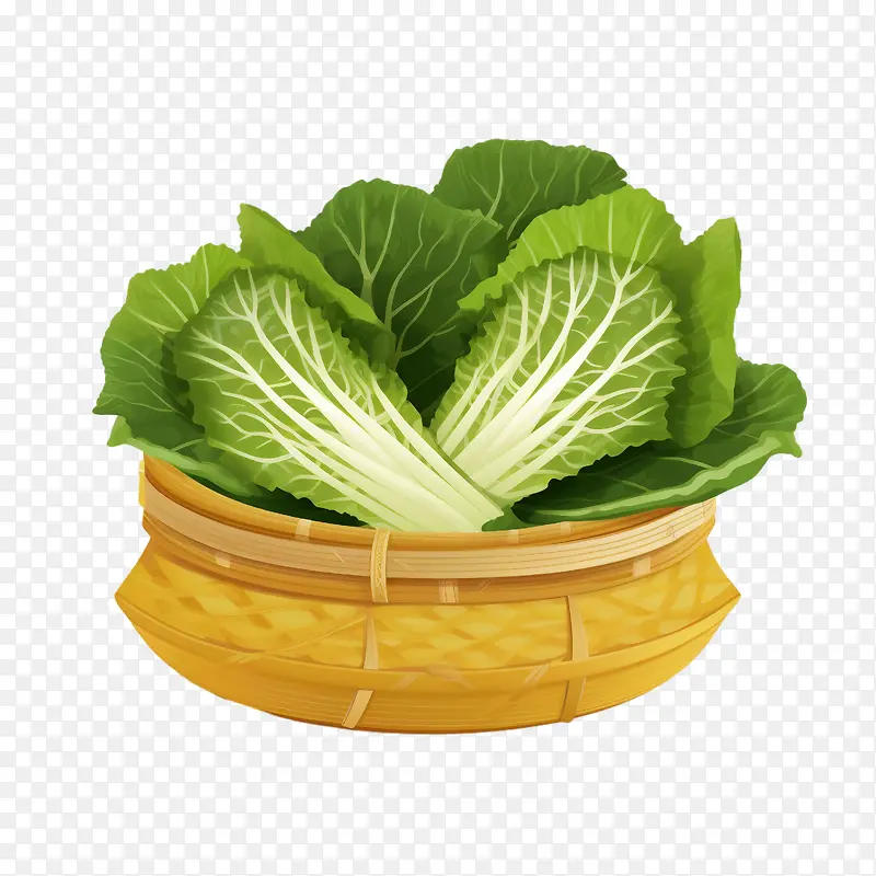 大白菜——健康食品