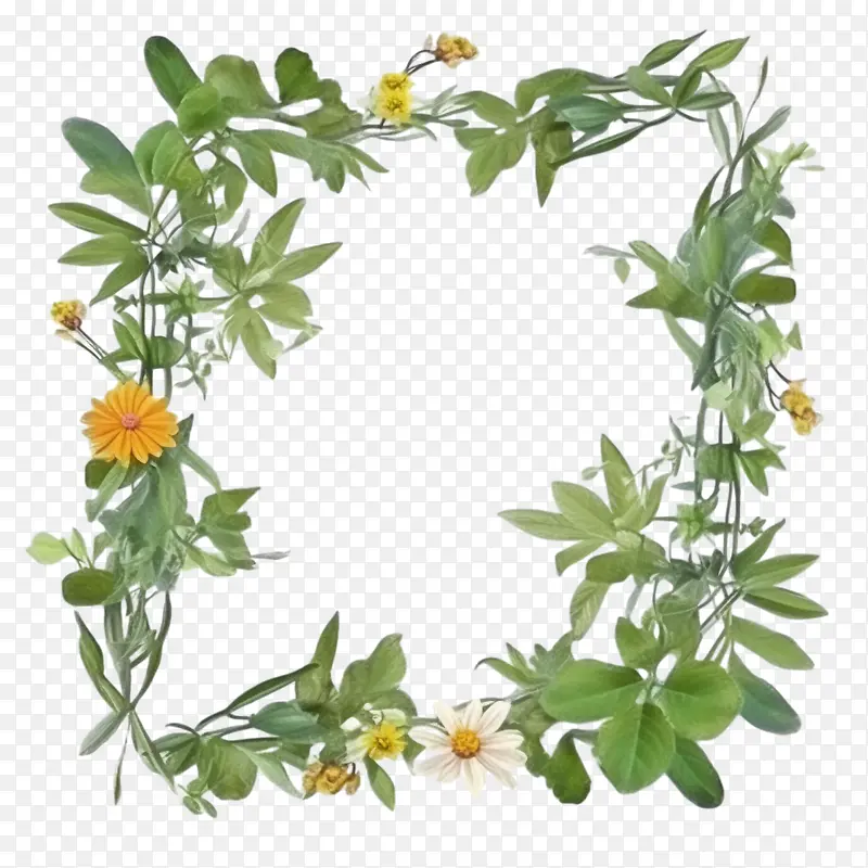 百日草花-花卉框架