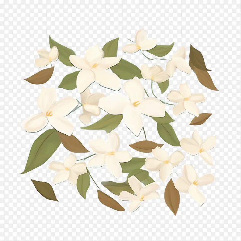 茉莉花-茉莉花