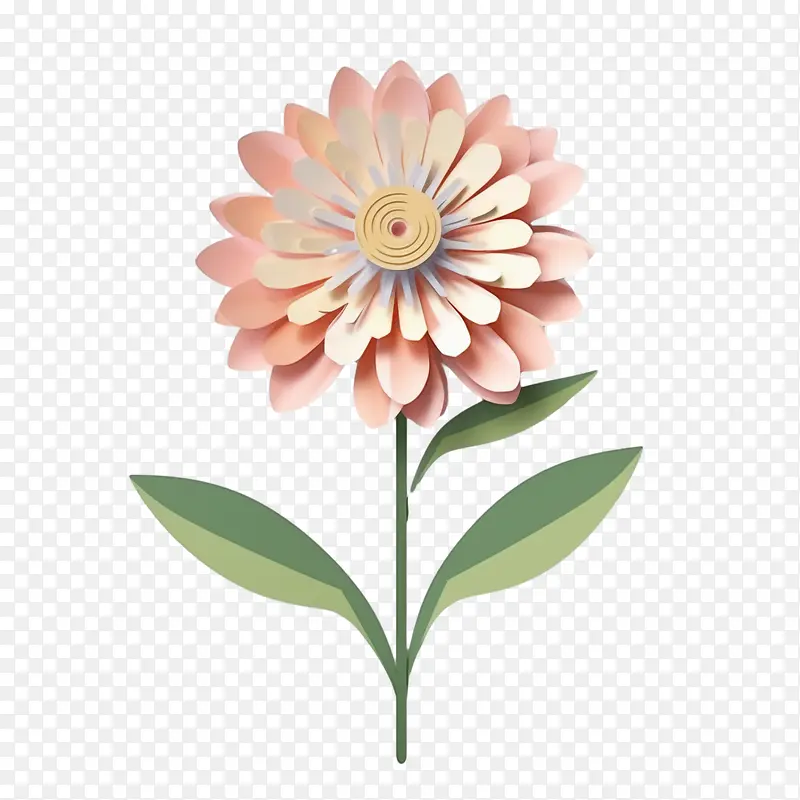 百日草花-玫瑰