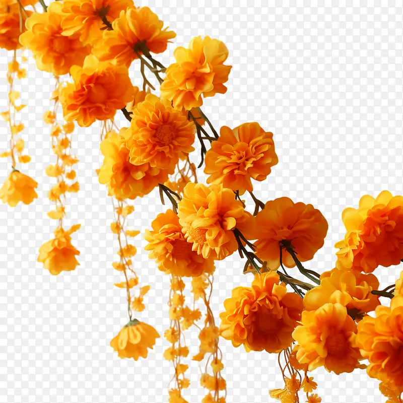 万寿菊花环-万寿菊花环花束鲜花黄色花环