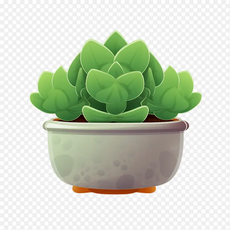 多肉植物-仙人掌