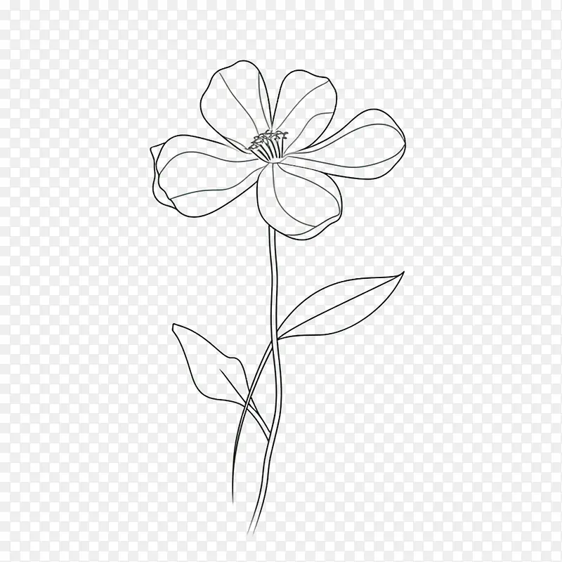 花-花手绘花花黑白简约