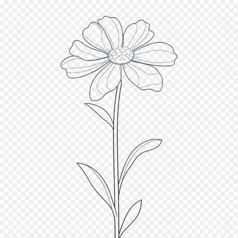 花-花艺设计