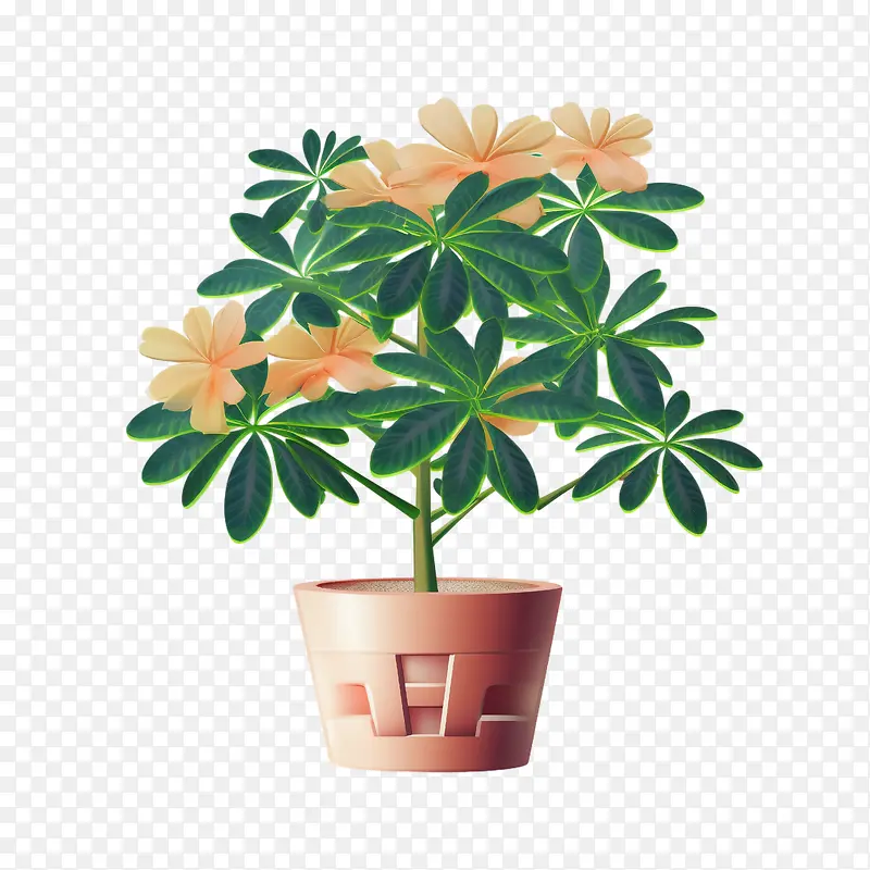 鹅掌柴植物-鹅掌柴植物植物花卉盆栽棕色盆栽
