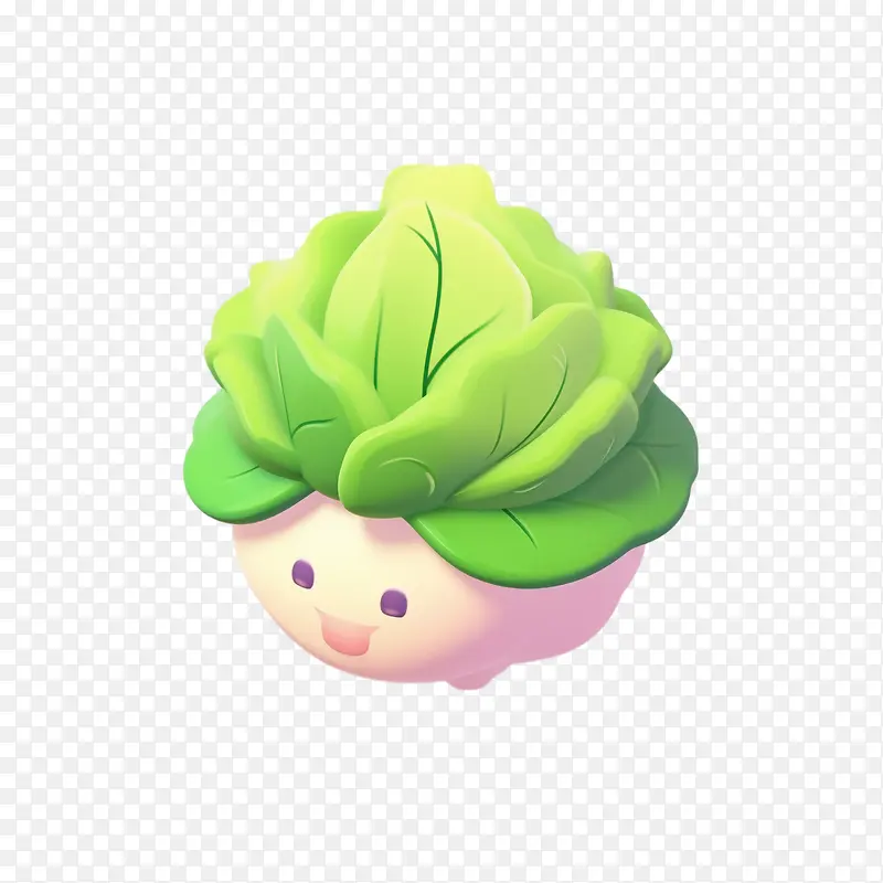 卷心菜-卷心菜泡头生菜可爱