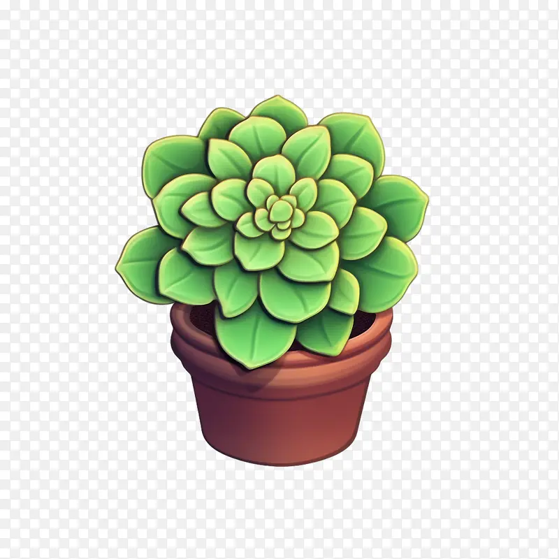 肉质的-肉质的花盆植物肉质绿色