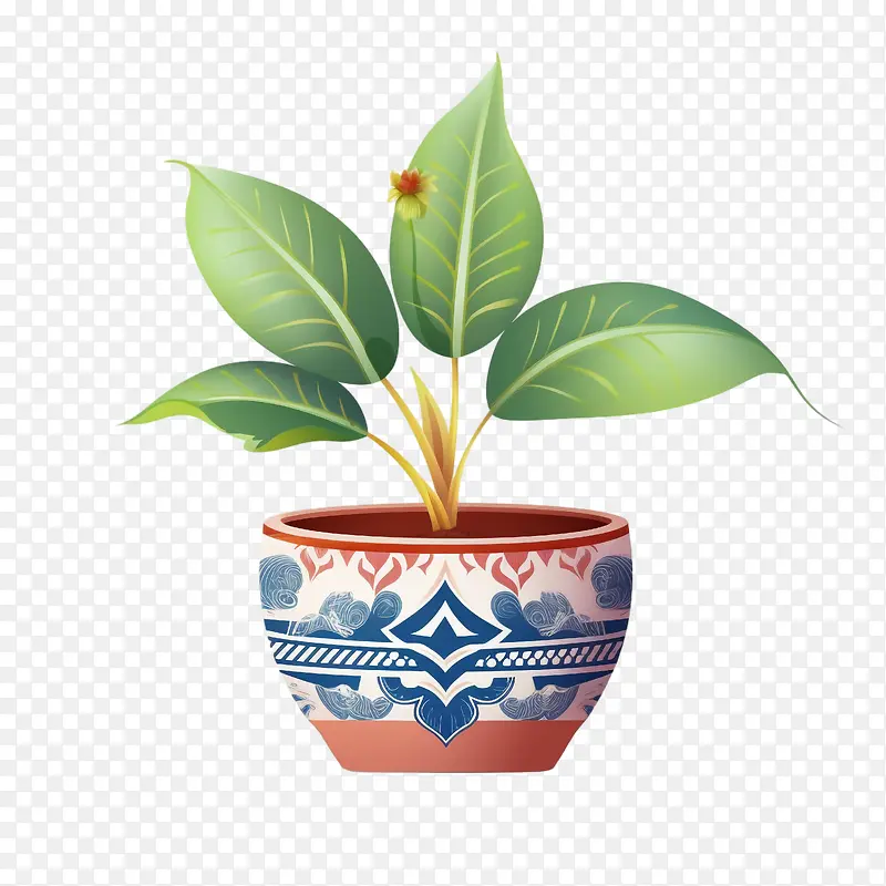 植物间盆栽植物花