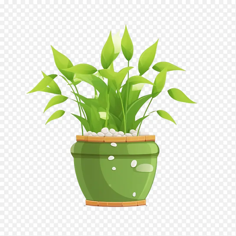 富贵竹——富贵竹竹盆栽绿色植物