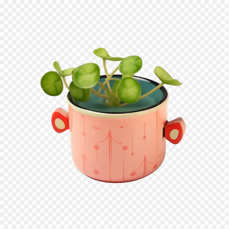 椒盐西瓜-椒盐西瓜盆栽植物水粉色