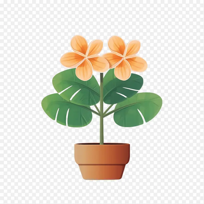 鸡蛋花-橙色