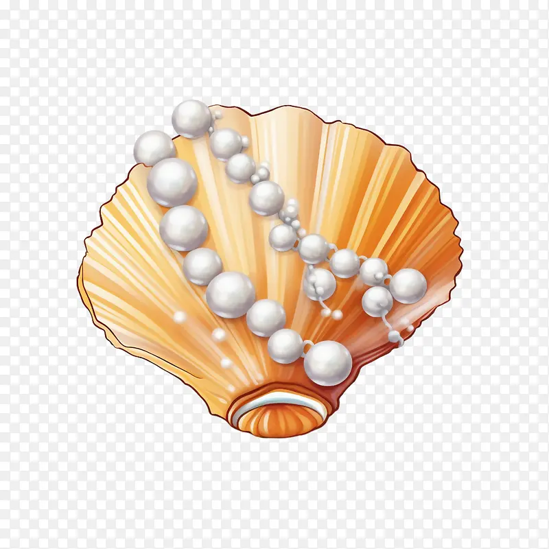海贝壳-海贝壳珍珠贝壳珍珠贝壳