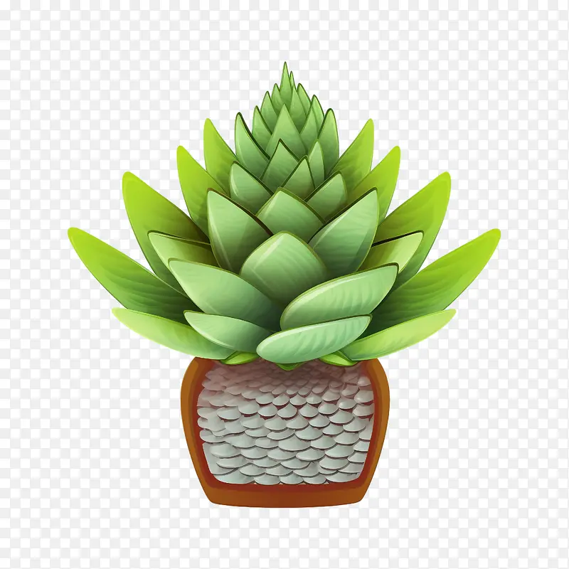 着迷的十二卷——花盆