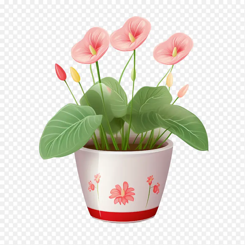 红掌植物-红掌植物粉红色的花朵花瓶植物插花