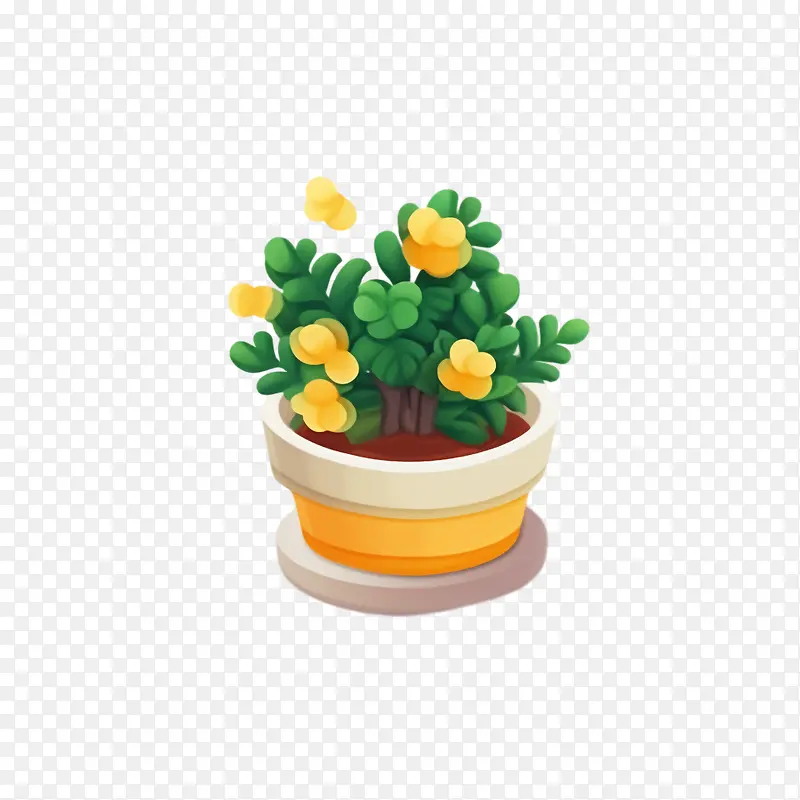 ti植物-花盆