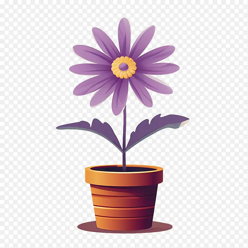 非洲雏菊花-紫色的花