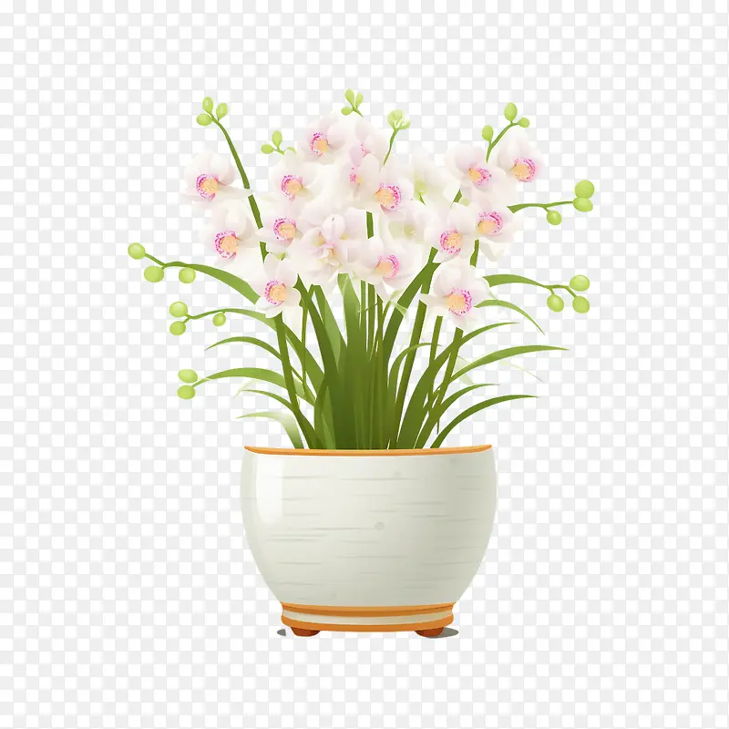 兰花植物-兰花植物盆栽植物白盆粉红色花朵植物