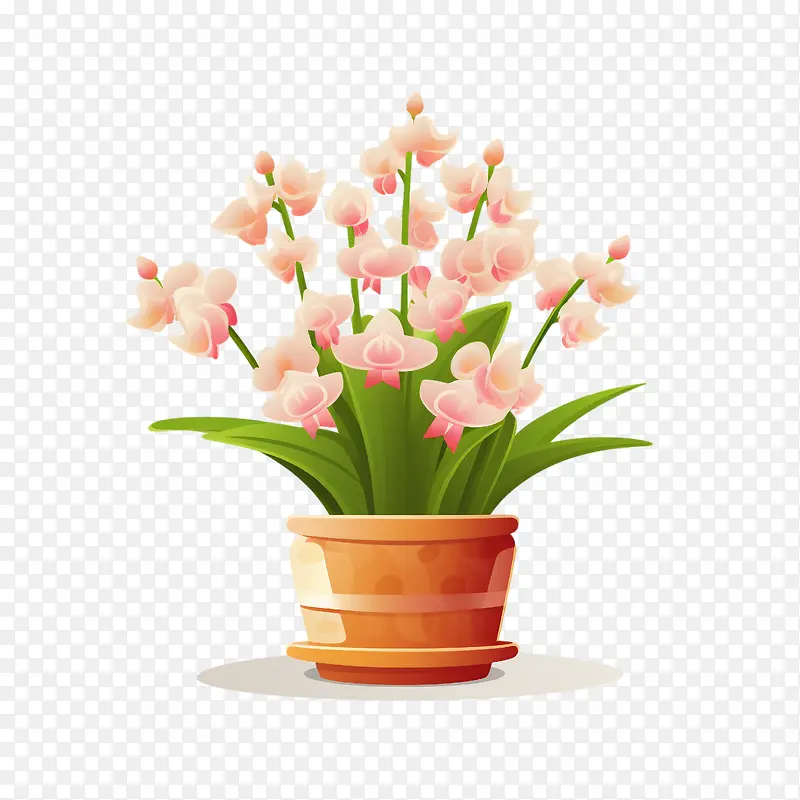 兰花植物-花盆