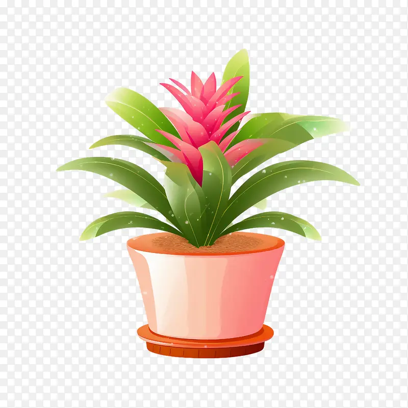 凤梨科植物-红色的花