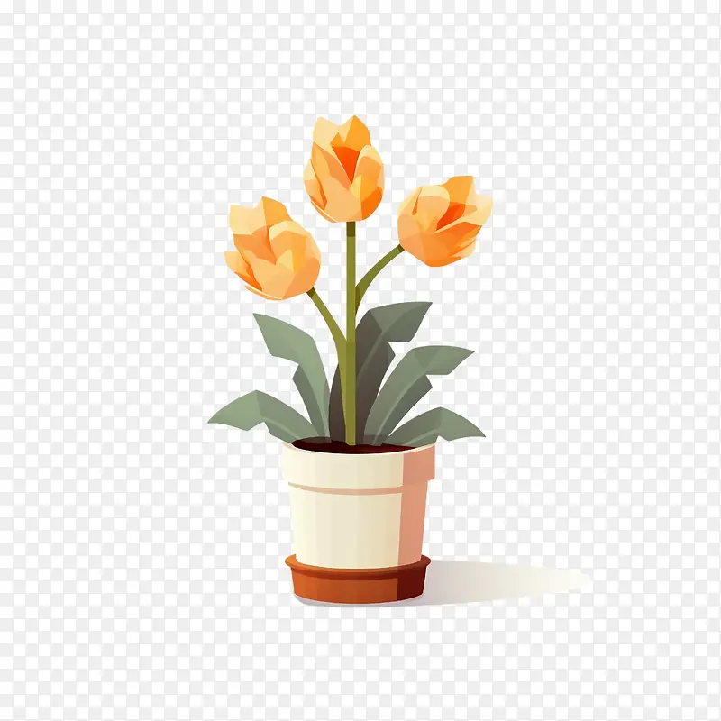 郁金香花-郁金香花