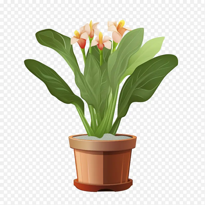 美人蕉百合植物-盆景树