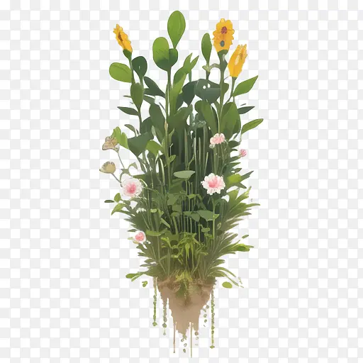 植物-花盆