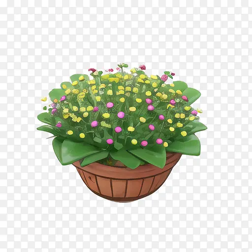 植物-植物矮牵牛花盆栽花园