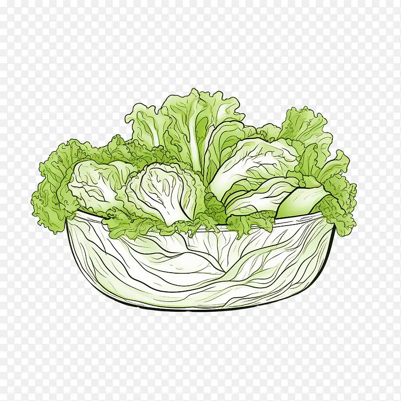 绿色沙拉-沙拉