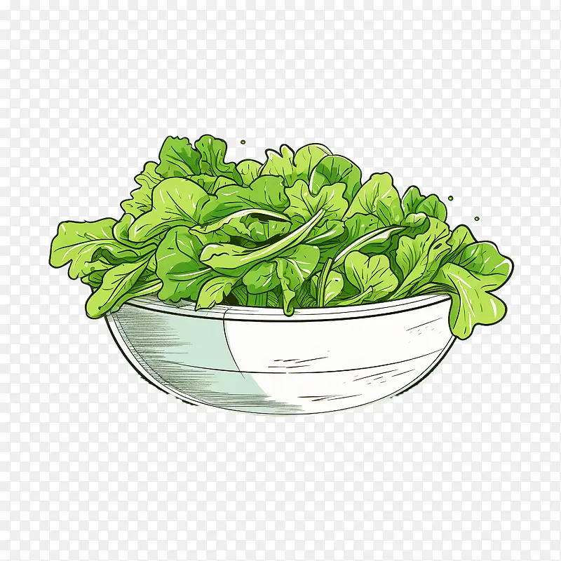 绿色沙拉-健康食品