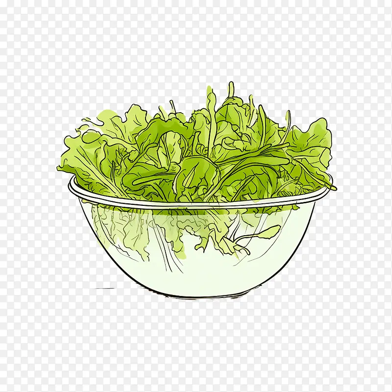 绿色沙拉-绿色沙拉手绘沙拉绿叶蔬菜沙拉新鲜蔬菜蔬菜沙拉