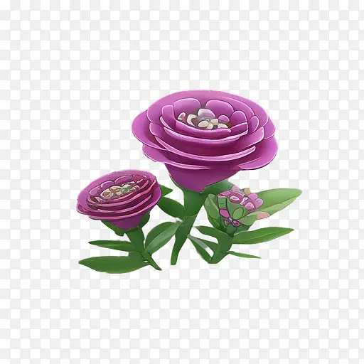 植物-玫瑰