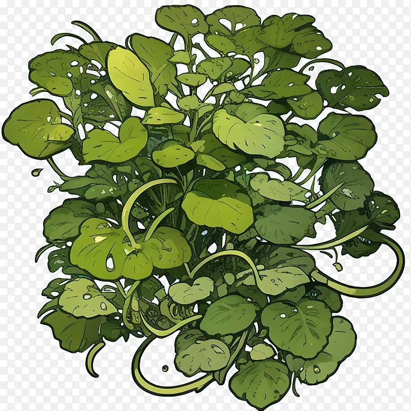 绿叶-绿叶植物绿叶茎