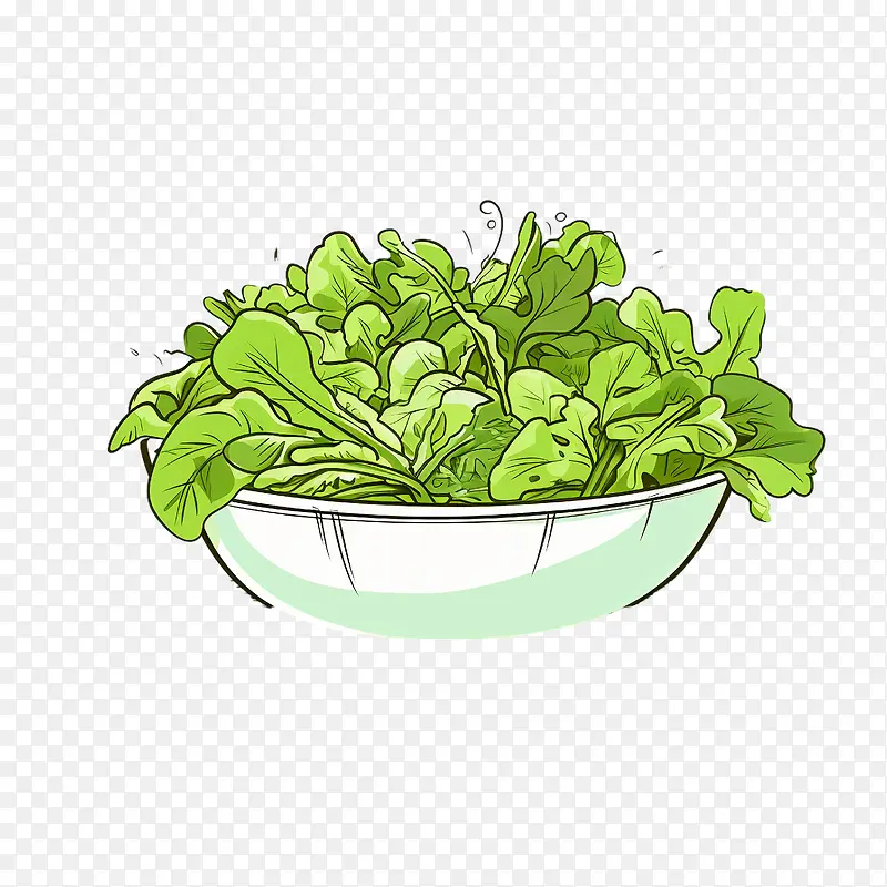 绿色沙拉-沙拉