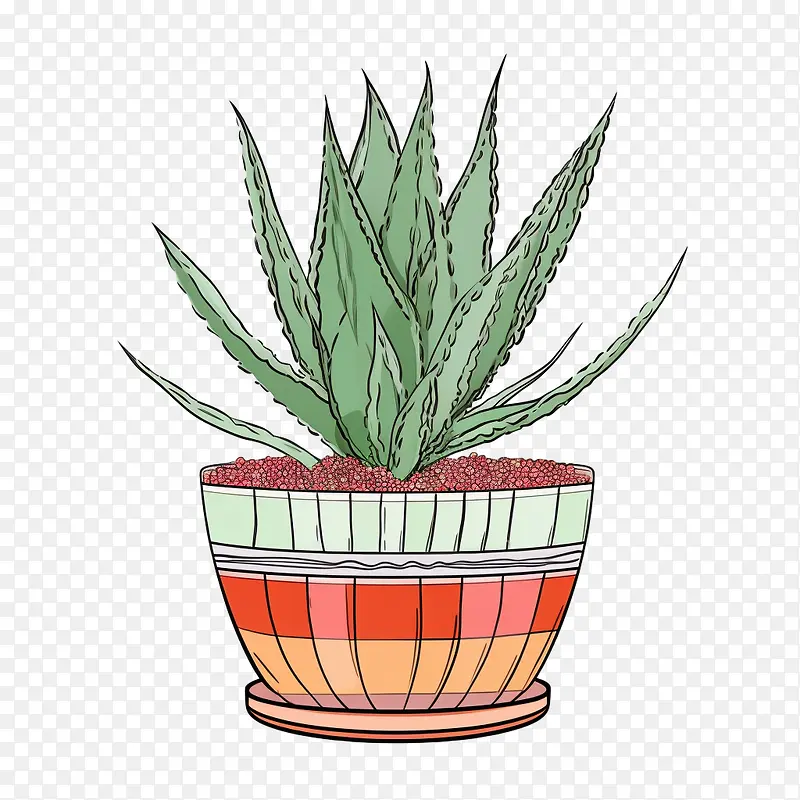 芦荟-芦荟