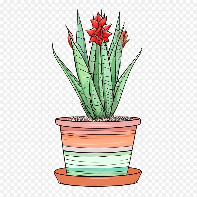 芦荟-芦荟