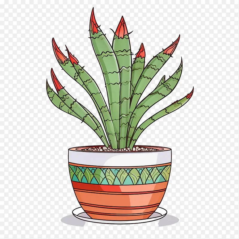 芦荟-芦荟