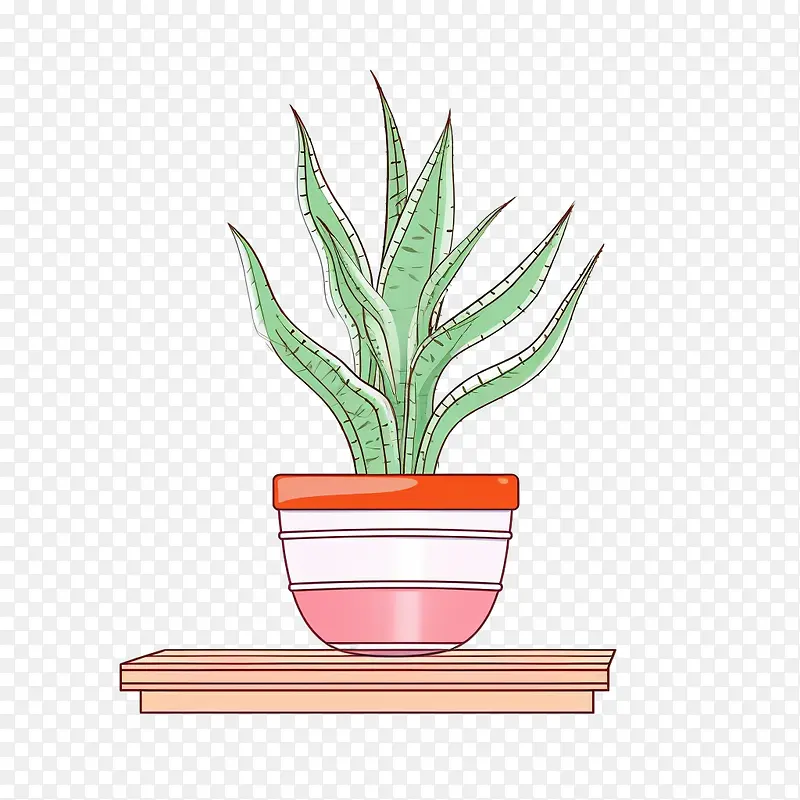 芦荟-芦荟