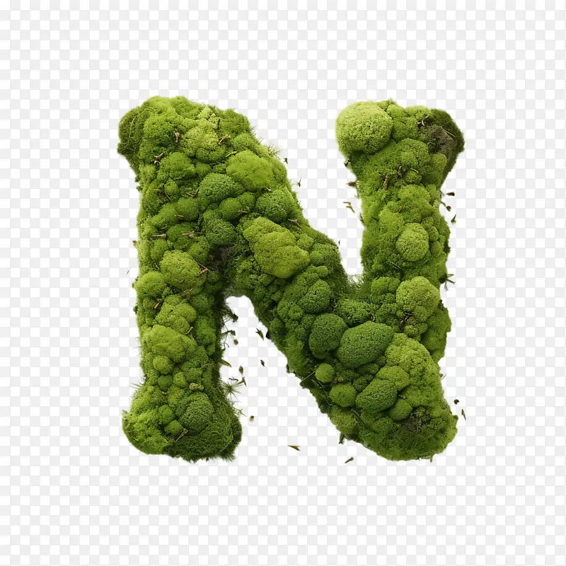 字母n-字母表