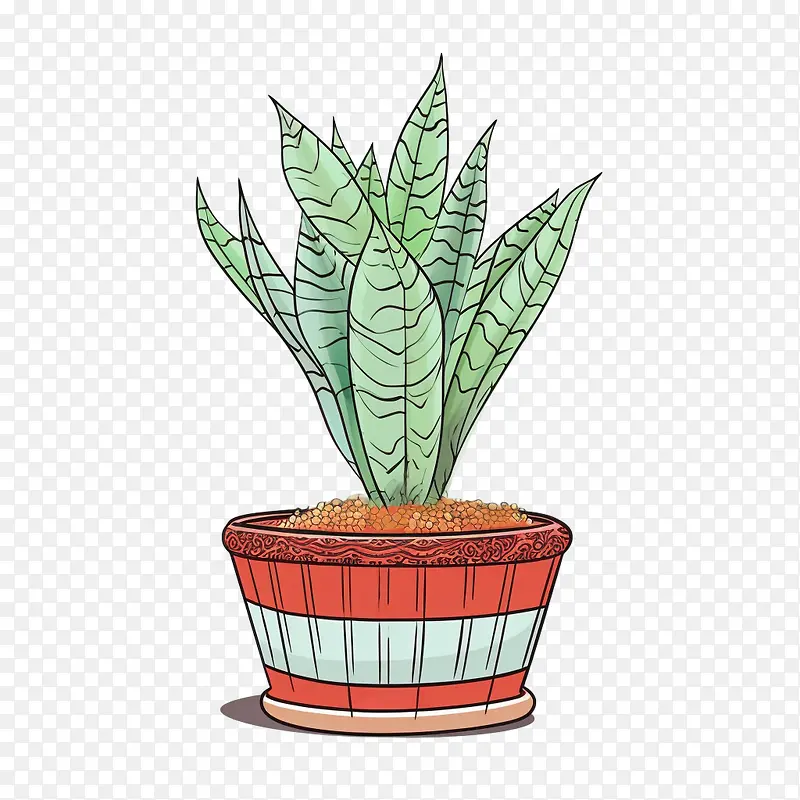 芦荟-芦荟