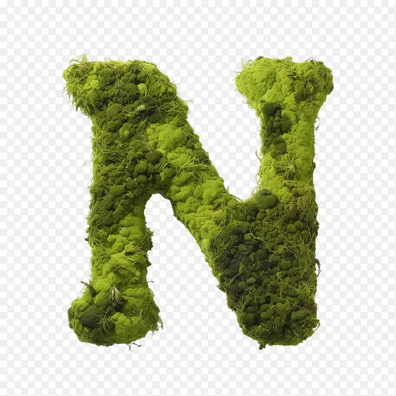 字母n字母n绿色苔藓植物自然